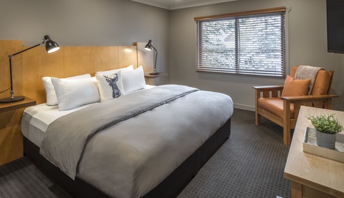 Superior Suite, 1 King Bed with Sofa bed, Kitchenette (Buffalo Suite)