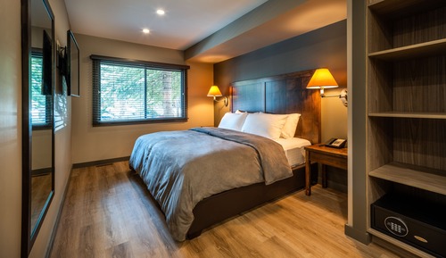 Superior Studio Suite, 1 King Bed with Sofa bed, Kitchenette (Buffalo Suite)