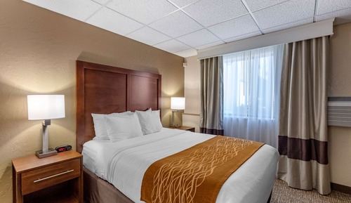 Standard Room, 1 Queen Bed, Accessible, Non Smoking (Transfer Shower)