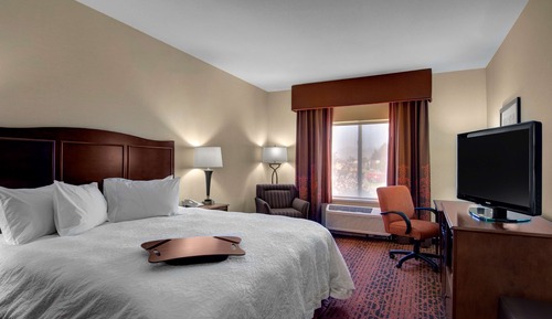 Room, 1 King Bed, Accessible, Non Smoking