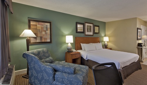 Room, 1 Queen Bed, Accessible, Non Smoking (Mobility, tub w grab bars)