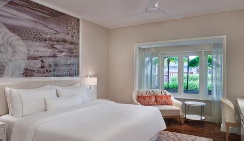 Room, 1 King Bed