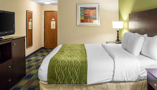 Standard Room, 1 King Bed, Non Smoking