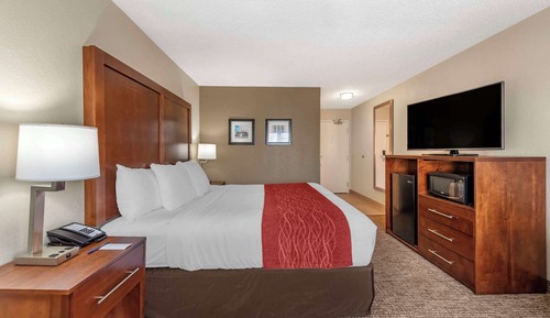 Room, 1 King Bed, Accessible, Non Smoking