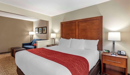 Suite, 1 King Bed with Sofa bed, Non Smoking