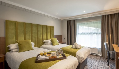 Standard Twin Room