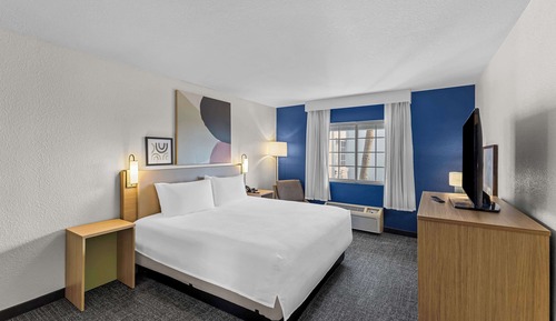 Room, 1 King Bed