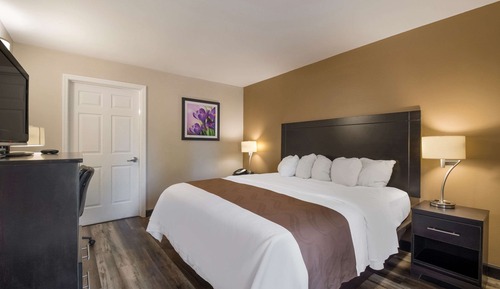 Standard Room, 1 King Bed, Non Smoking (Accessible)