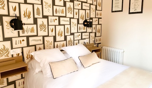 Comfort Single Room, 1 Double Bed