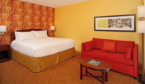 Room, 1 King Bed with Sofa bed (Mobility Accessible, Tub)
