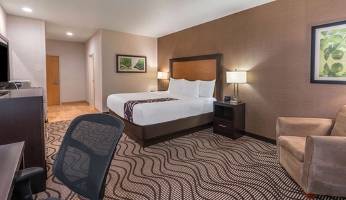 Room, 1 King Bed, Non Smoking
