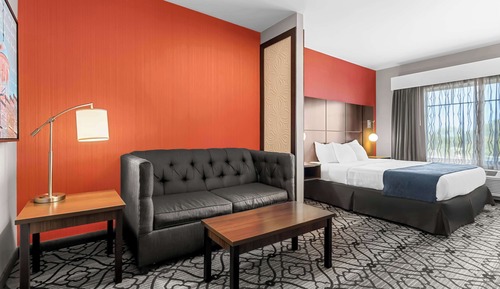 Standard Room, 1 King Bed, Non Smoking, Microwave
