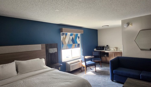 Suite, 1 King Bed with Sofa bed