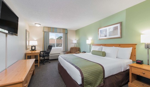 Room, 1 King Bed, Non Smoking