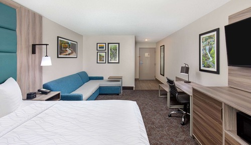 Deluxe Room, 1 King Bed, Non Smoking