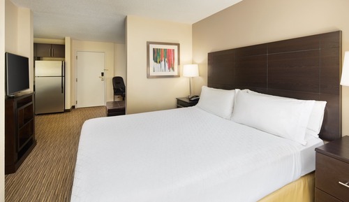Suite, 1 King Bed with Sofa bed