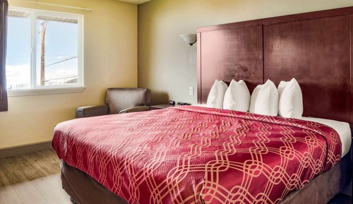 Standard Room, 1 King Bed, Non Smoking