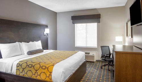 Room, 1 King Bed, Non Smoking