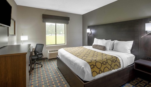 Room, 1 King Bed, Accessible, Non Smoking