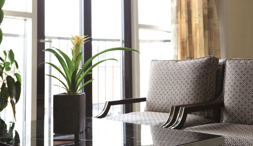 Suite, 1 Bedroom