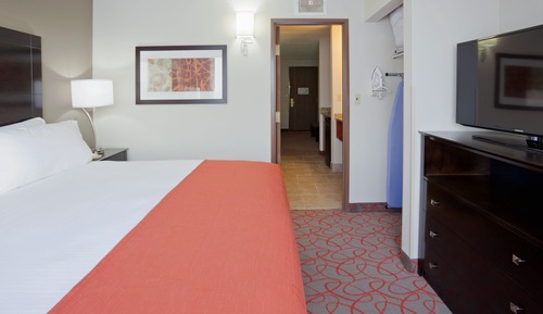 Suite, 1 King Bed with Sofa bed (Walk-In Shower)