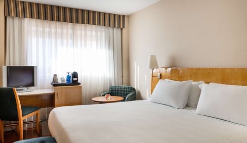 Standard Room (Extra Bed 3 adults)