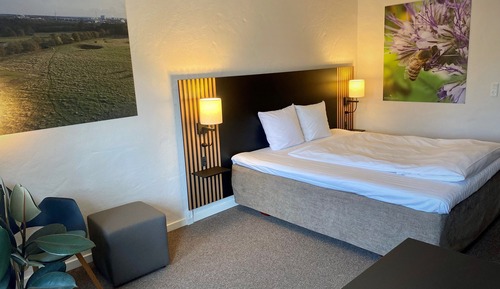 Business Room, 1 King Bed, Non Smoking