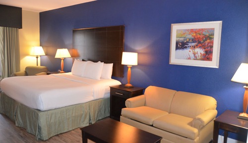 Suite, 1 King Bed