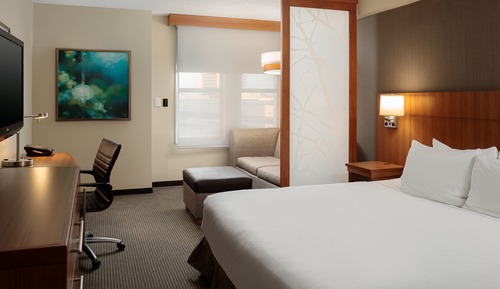 Accessible Suite, 1 King Bed (Roll-In Shower)