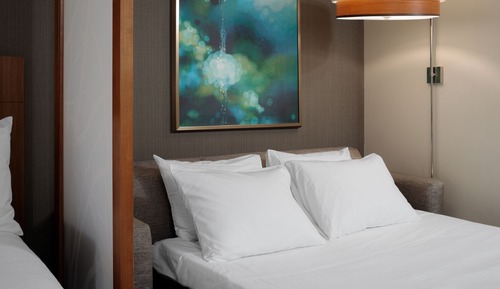 Suite, 1 King Bed & Sofa Bed