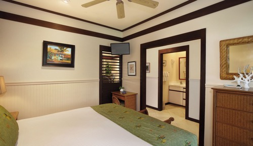 Room, 1 Bedroom, Ocean View (Unit 161 ,1Bath)