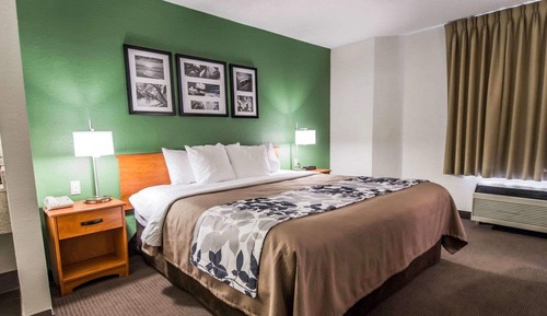 Room, 1 Queen Bed, Accessible, Non Smoking (Accessible Tub)