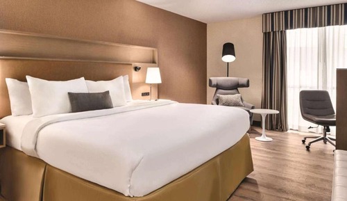 Room, 1 King Bed, Non Smoking