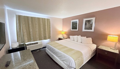 Room, 1 King Bed