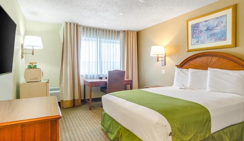 Room, 1 King Bed