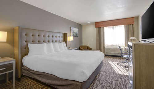 Standard Room, 1 King Bed, Non Smoking, Refrigerator