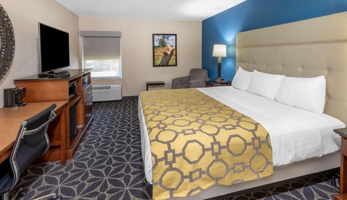 Room, 1 King Bed, Non Smoking