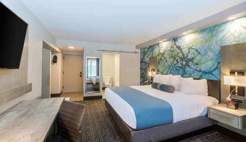 Studio Suite, 1 King Bed, Non Smoking