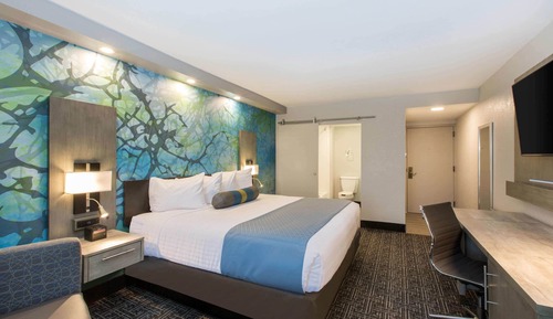 Room, 1 King Bed, Non Smoking