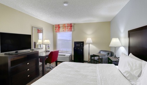 One King Bed, Non-Smoking, Accessible