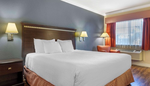 Standard Room, 1 King Bed, Non Smoking, Refrigerator & Microwave