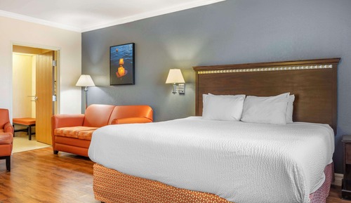 Standard Room, 1 King Bed, Accessible, Bathtub