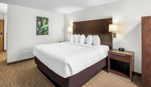 Standard Room, 1 King Bed