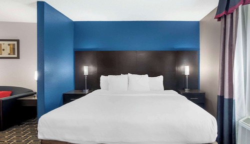 Business Room, 1 King Bed with Sofa bed, Non Smoking
