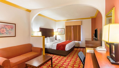 Suite, 1 King Bed with Sofa bed, Non Smoking