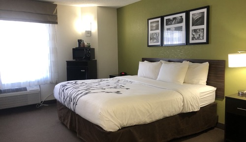Room, 1 Queen Bed, Non Smoking