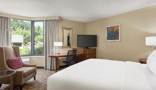 Deluxe Room, 1 King Bed, Non Smoking