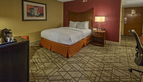 Room, 1 Queen Bed, Accessible (Roll-in Shower)