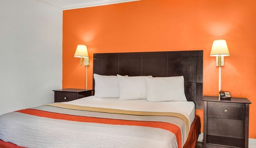 Standard Room, 1 King Bed, Non Smoking