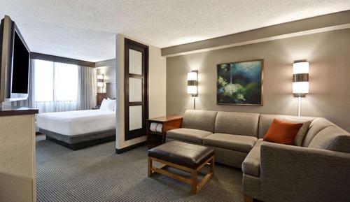 Room, 1 King Bed (& Sofabed)